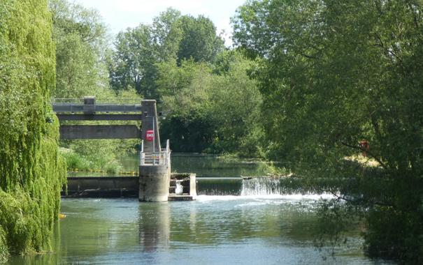 tree-lined river with weir & sluice-gate.