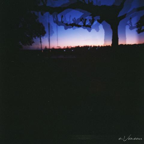 The silhouette of a tree at sunset. The double exposure creates a skeleton impression.