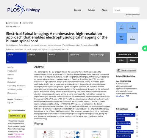 Screenshoot of the paper "lectrical Spinal Imaging: A noninvasive, high‑resolution approach that enables electrophysiological mapping of the human spinal cord" published on PLOS Biology