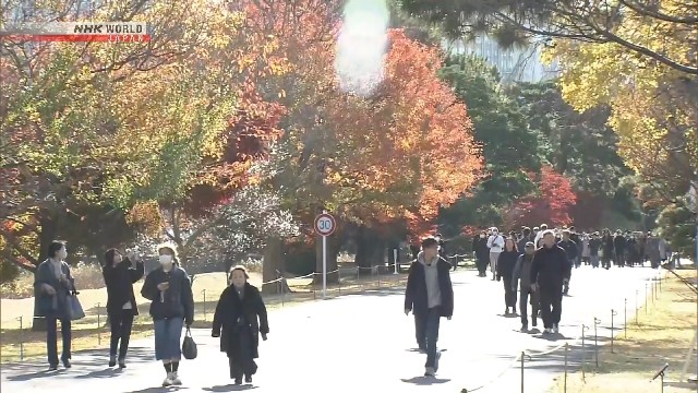 Public can view autumn colors at Tokyo's Imperial Palace