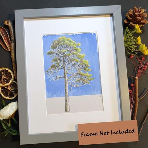 A drawing of a tall tree in green summer foliage on light grey paper with a blue background.
An original art work, please note that the frame is not included.
Colour pencil and mixed media on acid free toned artist paper
5 by 7 inches (12.7 by 17.8 cm). This is a standard photo size in the UK and USA and should be easy to DIY frame.