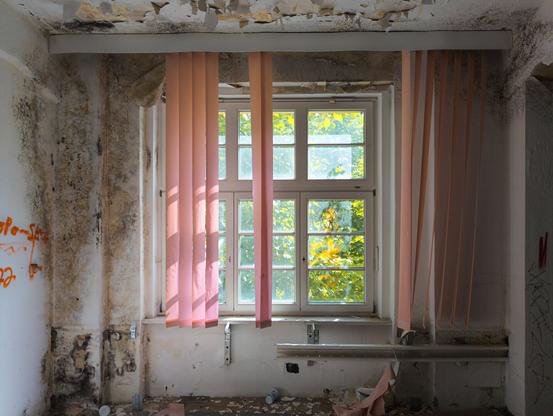 Dilapidated room with peeling paint and debris, featuring a large window with damaged pink blinds overlooking vibrant green and yellow foliage.