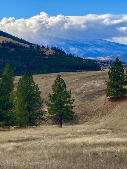 The view looks across rolling terrain of golden grass with a few scattered pines. On the left are the lower, wooded slopes of Mount Dean Stanton. On the extreme right is the broad valley of Missoula. In the distance, dense clouds sit upon Lolo Peak dropping snow, yet it’s blue sky above them.