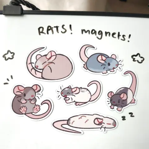 6 magnets stuck on a whiteboard. written on the whiteboard are the words "RATS! magnets!"
1. a fawn rat curls up in a ball, sleepy
2. a blue rat looks up curiously
3. a brown rat sits on its butt
4. a light grey capped rat smiles widely
5. a black hooded rat looks mad
6. a Siamese rat lies flat like a pancake, sleeping