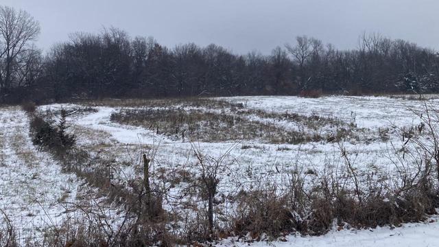 Snowy fields with patterns of brown and gray vegetation showing through the snow.  At the far end of the fields is a wooded area.  Gray skies above.