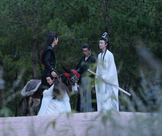A distance away, viewed through some out of focus tall plants, a group (mostly) stands in a semi-circle. At the left-most stands Wei Wuxian, head turned toward Lan Wangji with the edge of his smile just barely visible to the viewer, left hand holding Little Apple's reins, and his right hand resting on Lan Sizhui's head. Lan Sizhui is sitting, joyfully hugging Wuxian's right leg as he once used to do as a child. To Wuxian's left is Little Apple, and further on around the circle beyond the donkey stands Wen Ning, gaze downcast as he is gripped by the emotion of the moment. On the end of the semi-circle opposite Wuxian stands Lan Wangji, Bichen held in his left hand against his tight and a smile on his face as he looks back at Wuxian.