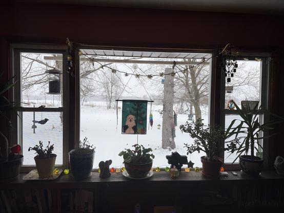 My living room picture window: plants cover the bookshelf below the window, there’s a Christmas old English sheepdog flag in the middle, and white snowflake lights at the top. Along the base of the window there’s a string of retro ball lights. Bird feeders hang outside the window from a special bar, and adorn the big pine tree stump in the front yard.