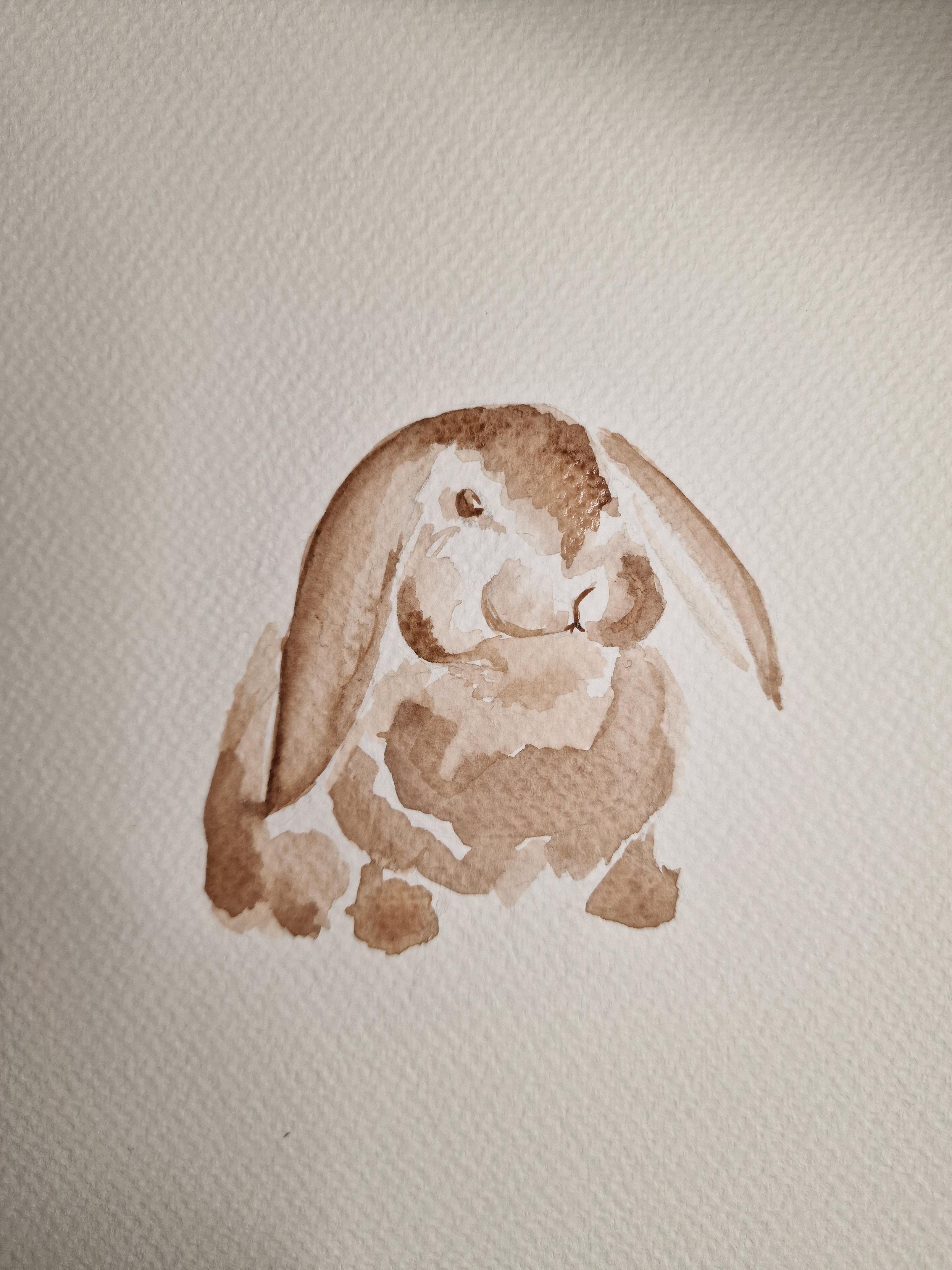 Painting of a mini lop that looks like it was done with coffee