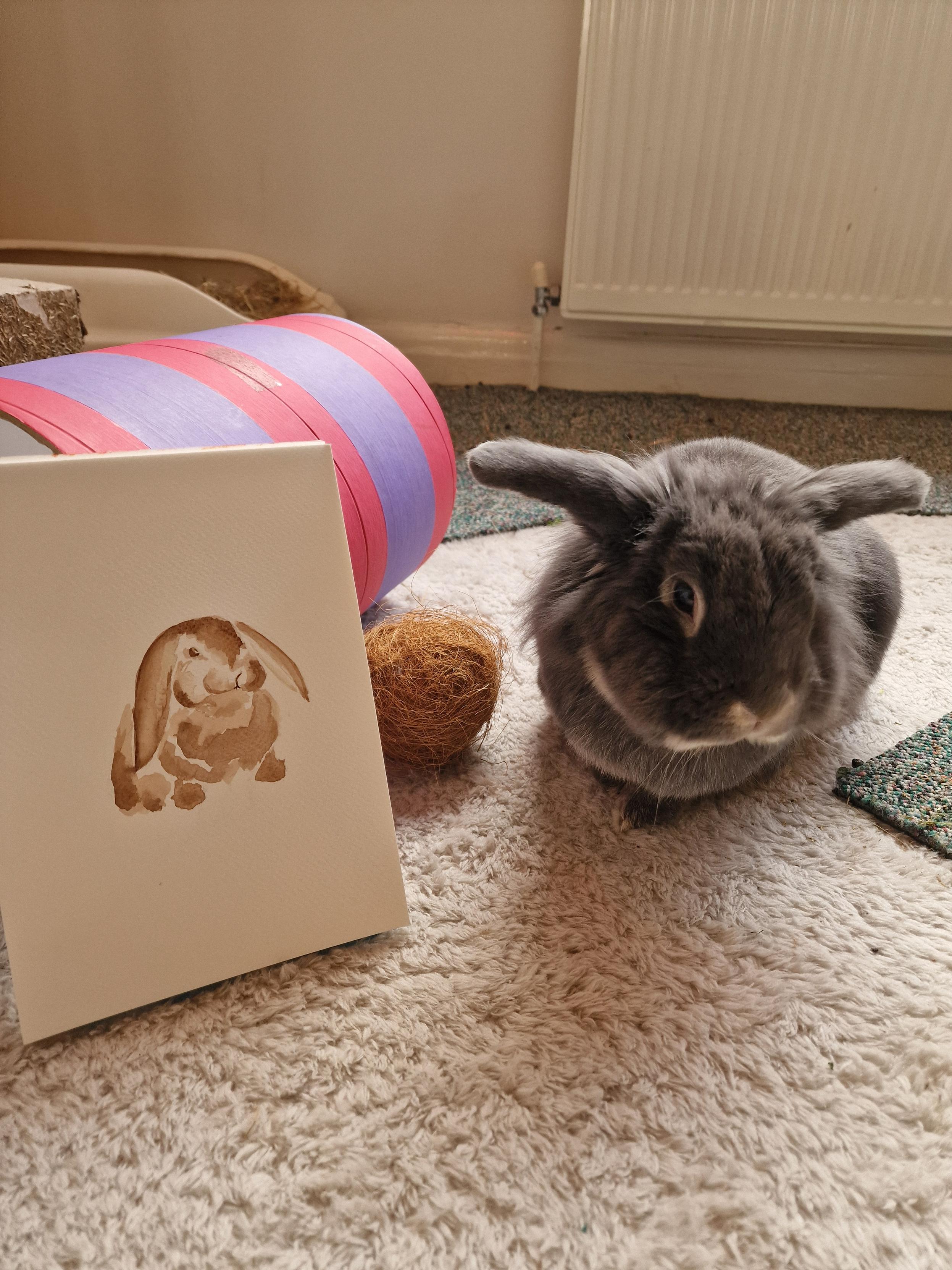 The painting next to the bunny the painting is of