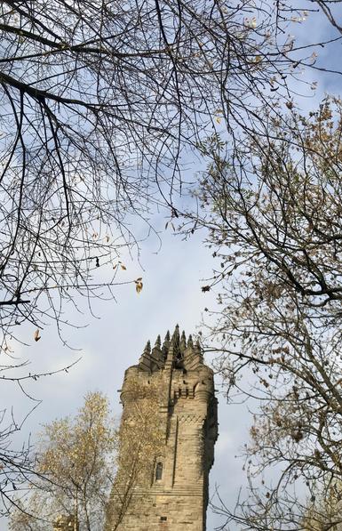 wally (the wallace monument) photobombs a photo of a canopy of winter branches against a pale blue sky.
its gnarled granite & sandstone spires, like fingers, reach towards the clouds.