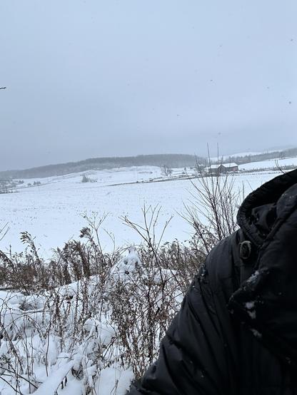 Windy with a bit of snow this morning so I can’t see much distance. Everything looks pretty much black-and-white to my eyes although the picture Shows the sky that’s a little more blue.