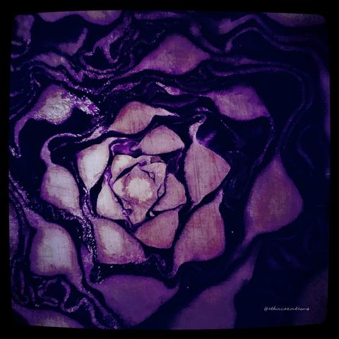 Gros plan sur un tronçon de chou rouge