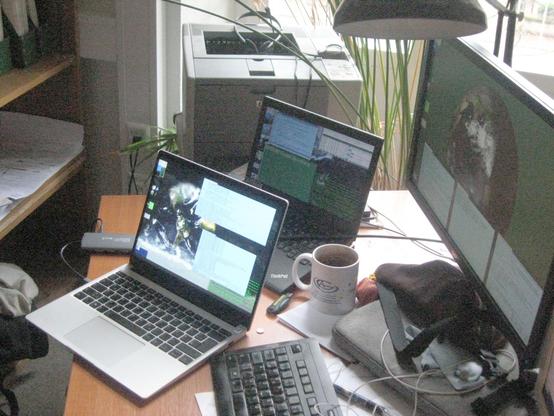 Zwo notebook computers with glowing displays next to each other.
The front one has a much brighter screen. A stationary monitor is behind
both, also glowing quite a bit fainter than the front one.