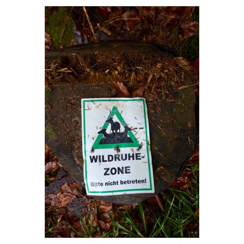 Flat, top down view of a sign attached to a tree stump in the woods. The sign reads "Wildruhezone - Bitte nicht betreten!" (German) / "Deer resting zone - please do not enter!" (English). Above the text there is a green triangle with several deer depicted in it.
