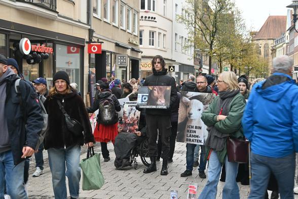 Aktivis stehen in der Innenstadt und halten Schilder mit Tieren darauf und Sprüchen wie "Kein Lammbraten" die Stadt ist sehr voll.