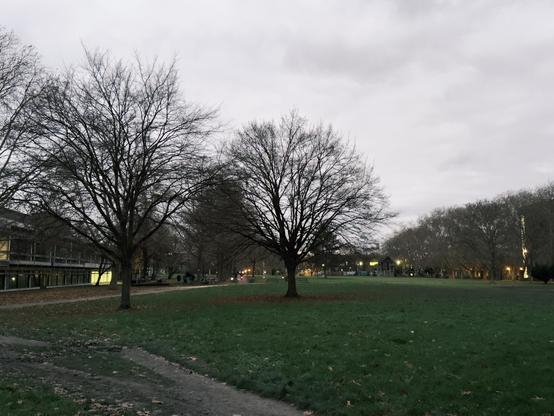 Shot with No Fusion by "NC".