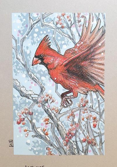 A small colour drawing of a red cardinal bird in flight. There are branches with berries in the background. The drawing is on grey pastel paper.
The red cardinal is a popular backyard bird that can be found in south eastern Canada, through to the eastern United States
An original art work, please note that the frame is not included.
Colour pencil and mixed media on acid free toned artist paper
5 by 7 inches (12.7 by 17.8 cm).