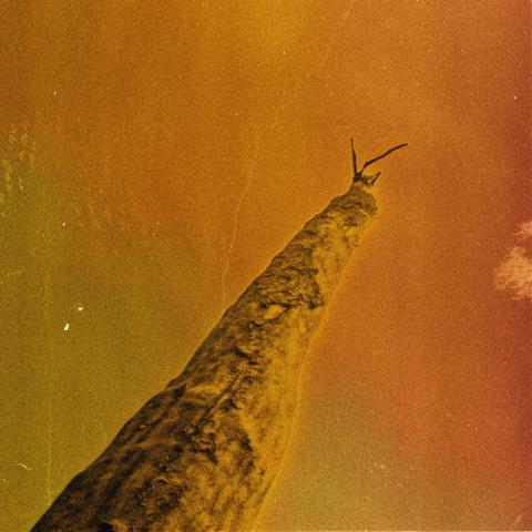 SIHR by Frédéric D. Oberland, Grégory Dargent, Tony Elieh, Wassim Halal  released on Sub Rosa in 2024.