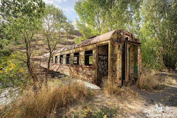 A rusted, abandoned train car covered in graffiti stands on overgrown tracks surrounded by trees and dry grass.