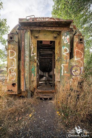 An abandoned, rusted train car covered in graffiti stands amidst overgrown grass and trees, viewed through its open doorway.