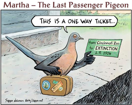 Martha, the last Passenger pigeon is in the railway station with a ticket to ride, and she says: This is a one way ticket...