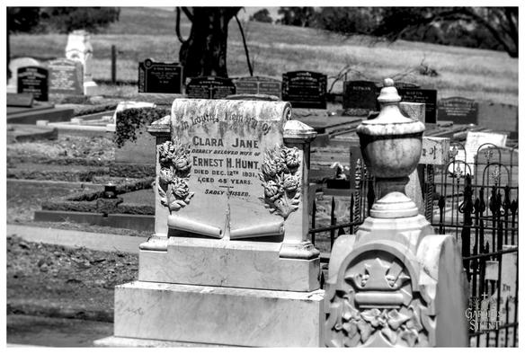 Black and white photograph of a scroll shaped marble gravestone in the Wirrabara Cemetery.  The central text is clear and reads, 'IN LOVING MEMORY OF CLARA JANE DEARLY BELOVED WIFE OF ERNEST H. HUNT, DIED DEC. 12TH 1931, AGED 45 YEARS. SADLY MISSED.'  The stone is adorned with carved roses and rests on a large marble base. In the foreground, the top of a separate ornate stone monument with a fence is visible on the right, blurred by a shallow depth of field.  The background shows many other older gravestones spread across a grassy, gently sloping hill.