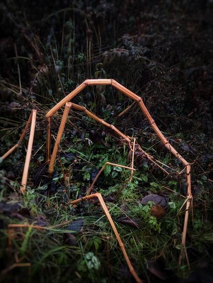Aus vom Frost geschädigten Pflanzenstängeln geformte, fragile Skulptur liegt zwischen feuchtem Gras, Moos und herbstlichen Blättern am Gartenboden. Foto by Johann Seidl, Freisinger Gartenblog