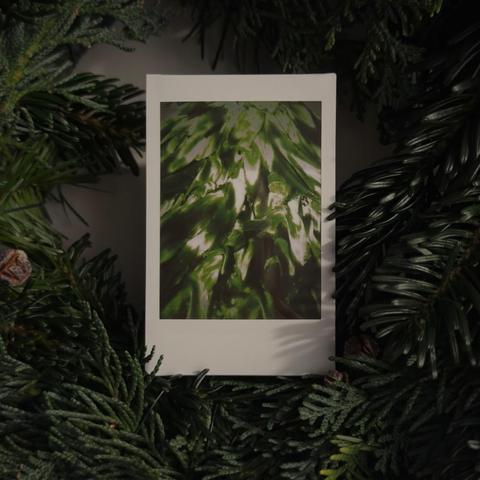 Instant photo of abstract green painting on glass in between a evergreen wreath.