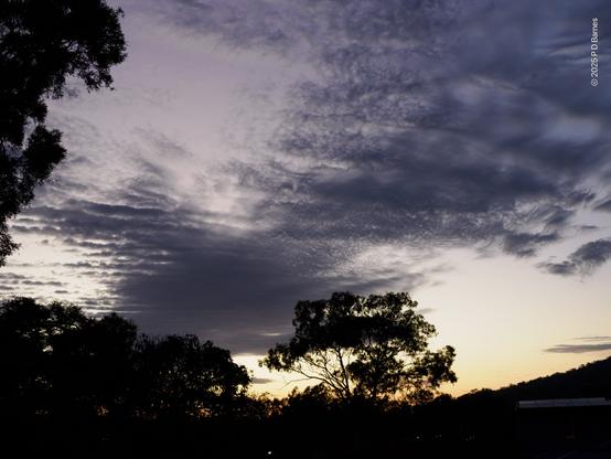 Bands of dusky blue-violet cloud fill the centre sky, itself a very delicate amethyst, with the nearest ends dissolving into a pattern reminiscent of beaten pewter, or the marbling of immiscible liquids. Below, tree silhouettes provide a much sharper but dense texture, outlined against the first saffron glow of impending sunrise.