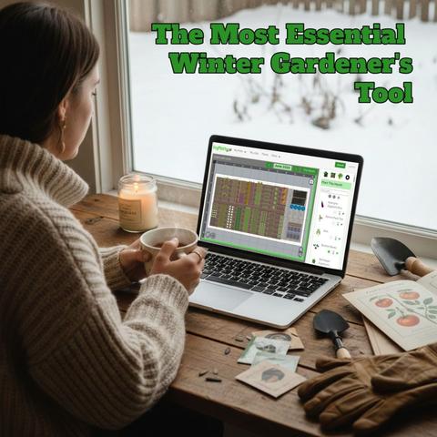 Women sitting at a desk with a cup, seeds and packets too, with laptop in front of her featuring VegPlotter, and outside through the window a snowy background scene