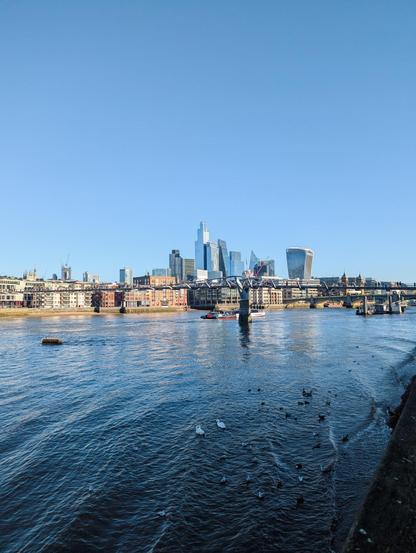 Foto do Rio Thames tirada da margem. No rio tem uma ponte, alguns barcos e animais. Ao fundo a skyline de Londres.