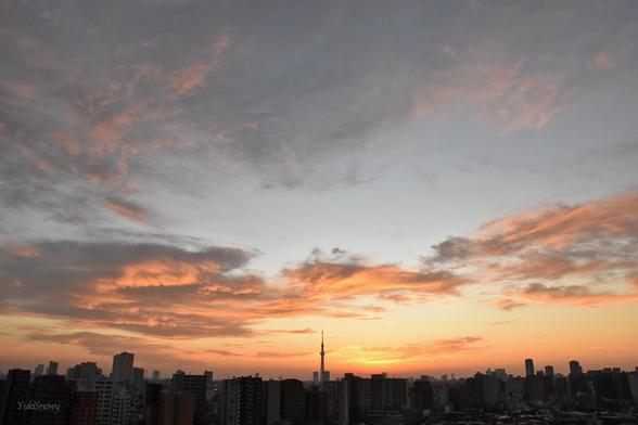 2025-12-01 06:30 Tokyo