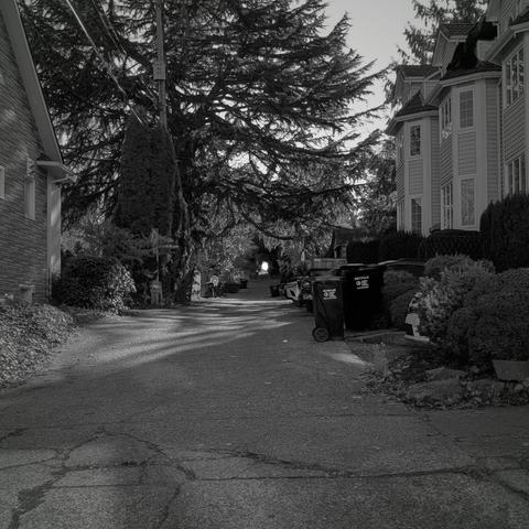 Blank and white photograph, looking down an alley. Trees and houses form a tunnel, but at the end a spot of bright sky peeks out.