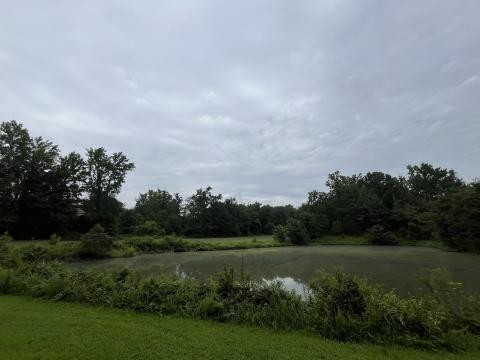 Greendale Golf Course
