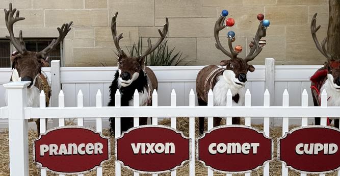 Funny fake reindeer - Prancer, Vixon and Comet