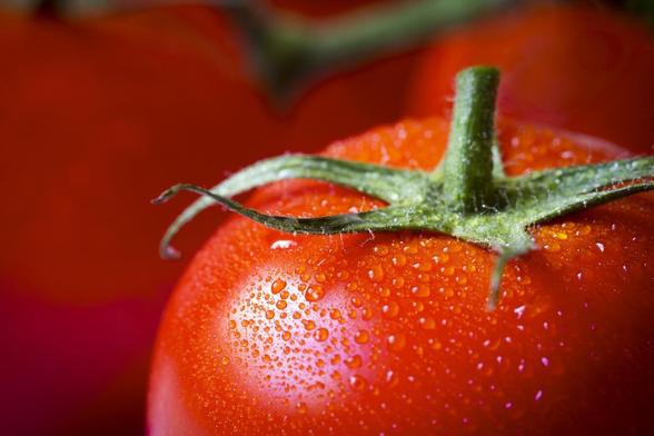 Imagen de archivo de un tomate. (Getty Images/iStockphoto)