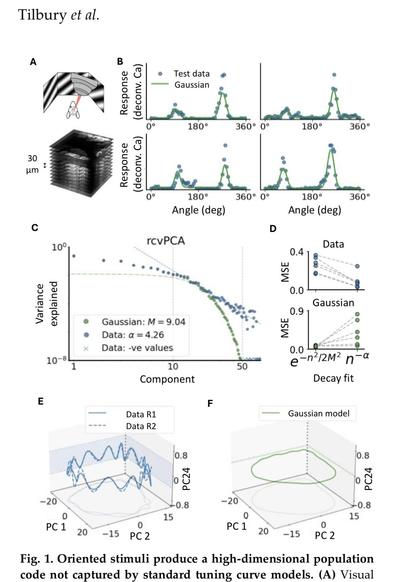 Fig. 1. Oriented stimuli produce a high-dimensional population code not captured by standard tuning curve models.