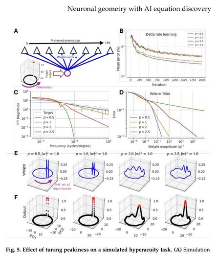 Fig. 5. Effect of tuning peakiness on a simulated hyperacuity task.