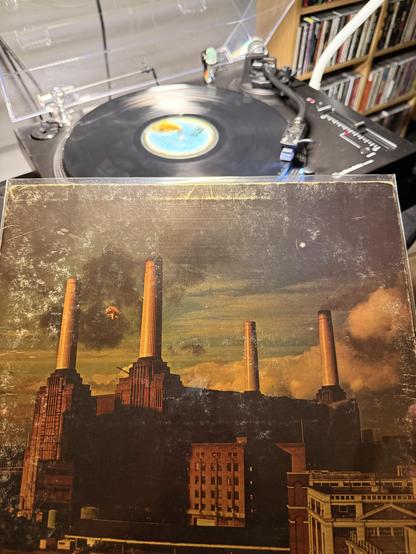Pink Floyd - Animals