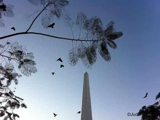 Independence Monument downtown Yangon. Blue sky, birds flying and a beautiful tree in the foreground. Took this picture in 2013 or 2015-16…
