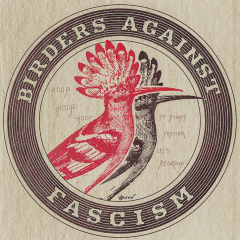 Vintage style and bird version of the antifascist action logo: two hoopoes, a red and a black stand in a circle. A text reads "Birders against fascism"