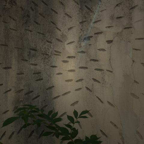 Somewhere in Bratislava, Slovakia