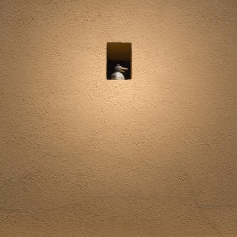 Somewhere in Bratislava, Slovakia