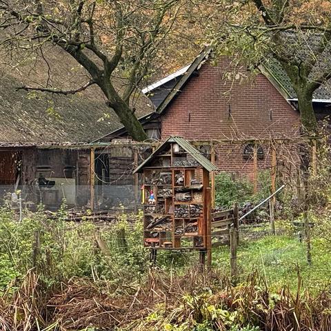 Een insectenhotel staand in het groen voor een boerderij aan de Kromme Rijn.