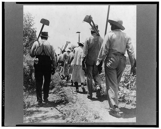 The image depicts a group of individuals walking along what appears to be an agricultural path, each carrying farming tools such as shovels and pitchforks. They are dressed in work attire suitable for manual labor, including hats, shirts with rolled-up sleeves, overalls or trousers, boots, and some wear aprons or have items tucked into their belts. The environment is dry, with sparse vegetation visible on the sides of the path. Shadows indicate bright sunlight. This historical photograph conveys a sense of organized agricultural work, potentially during a significant period in American history given its black-and-white format and style.