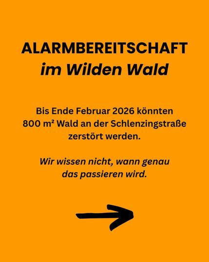 Alarmbereitschaft im Wilden Wald!

Bis Ende Februar 2026 könnten 800 m² Wald an der Schlenzigstraße zerstört werden.

Wir wissen nicht, wann genau das passieren wird.