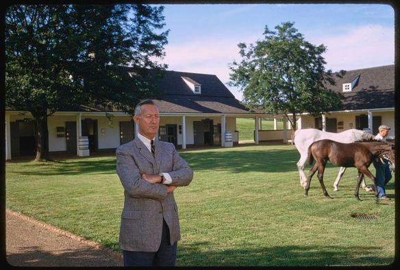 A man stands in a lush green field with horses walking by. He has his arms crossed and is wearing glasses, a grey blazer over a white shirt paired with dark pants. Behind him are large farm buildings on the left and right side of a wide open space; trees dotting the landscape under a blue sky with clouds. A man in casual clothing can be seen leading one horse from behind another as they walk past someone outside these buildings, likely tending to daily chores or care for the horses.