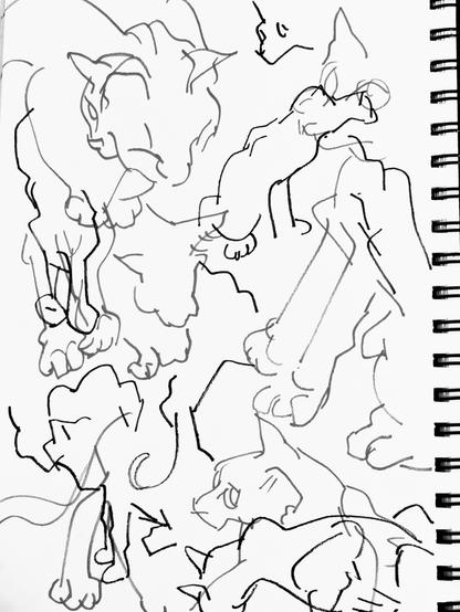 Loose line drawings of cats sort of collaged together. The style conveys their quick movements, highlighting only the gesture and contour of their bodies.