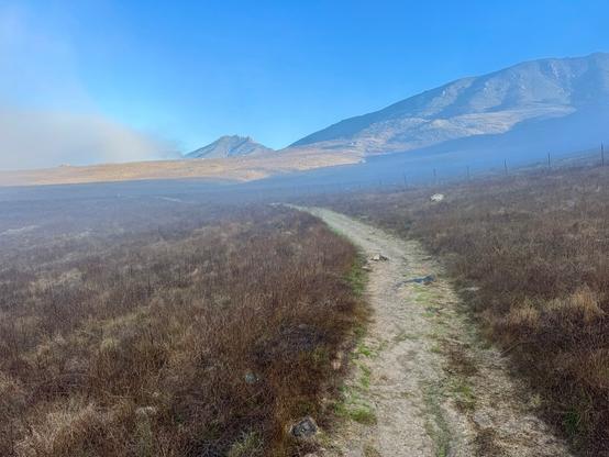 Thin fog covers the low-lying areas, but above the sky is blue. A trail runs through an open field of brown grasses, and it leads your eye to two mountains in the distance: Cerro San Luis on the right and Bishop Peak in the center. The morning light has some areas of hills and mountains tinted gold and the fog gives everything a blue hue. Trail is through Laguna Lake Park Open Space in San Luis Obispo, California.
