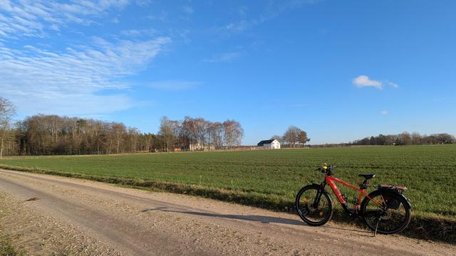 Ein rotes Raleigh Dundee MTB steht auf einem Schotterweg, dahinter ist eine grüne Wiese. Am Horizont ist ein Gehöft und einige Bäume. Der Himmel ist überwiegend blau.